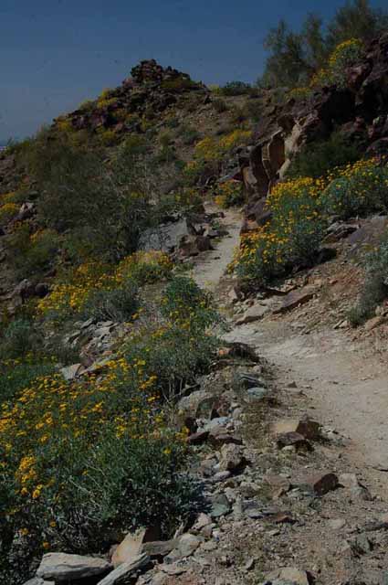 The Holbert Trail at South Mountain Park